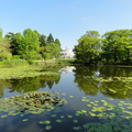 DSC02380.JPG